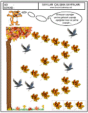 sayılar örüntü çalışmaları